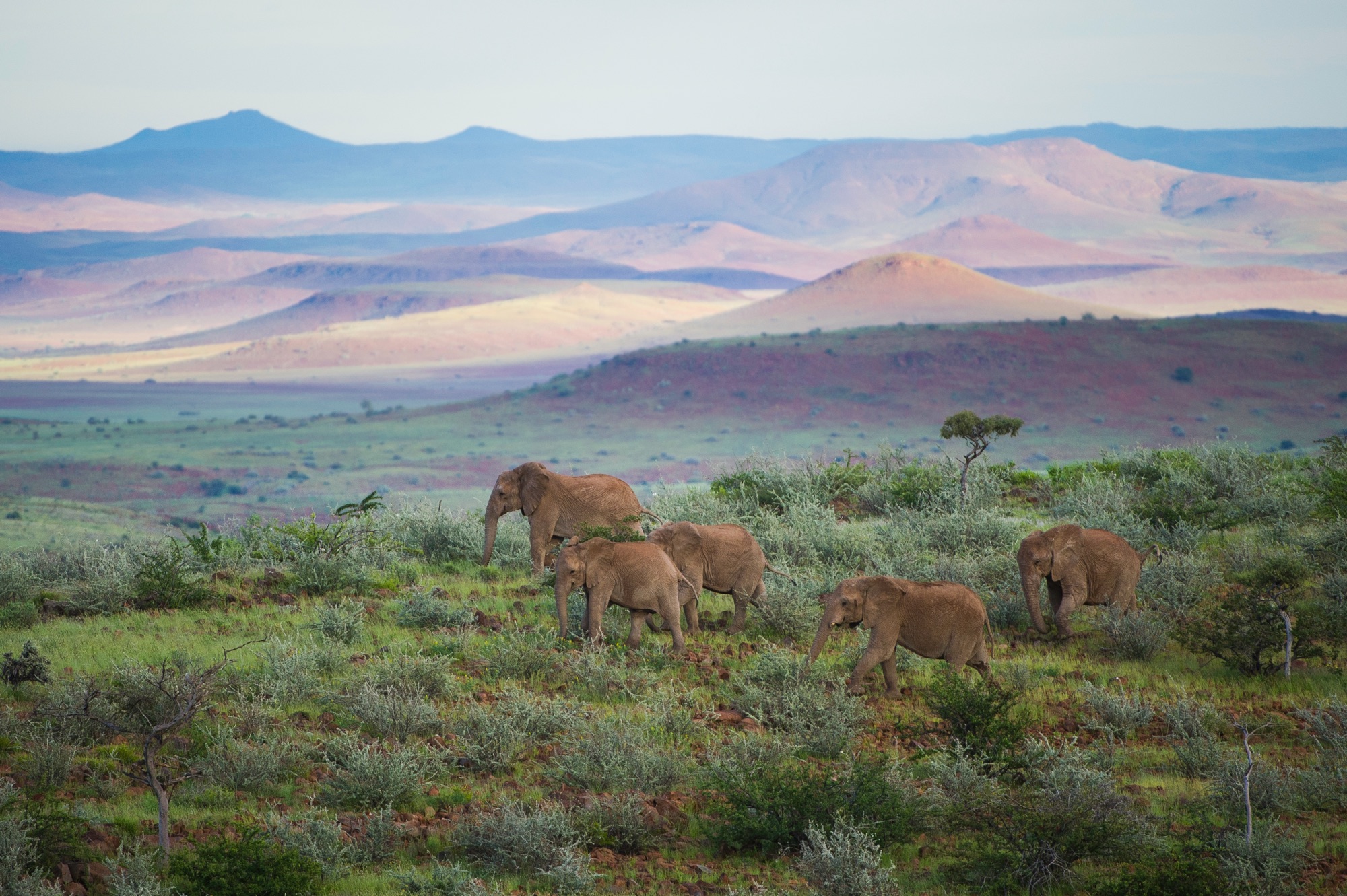 Damaraland in Namibia