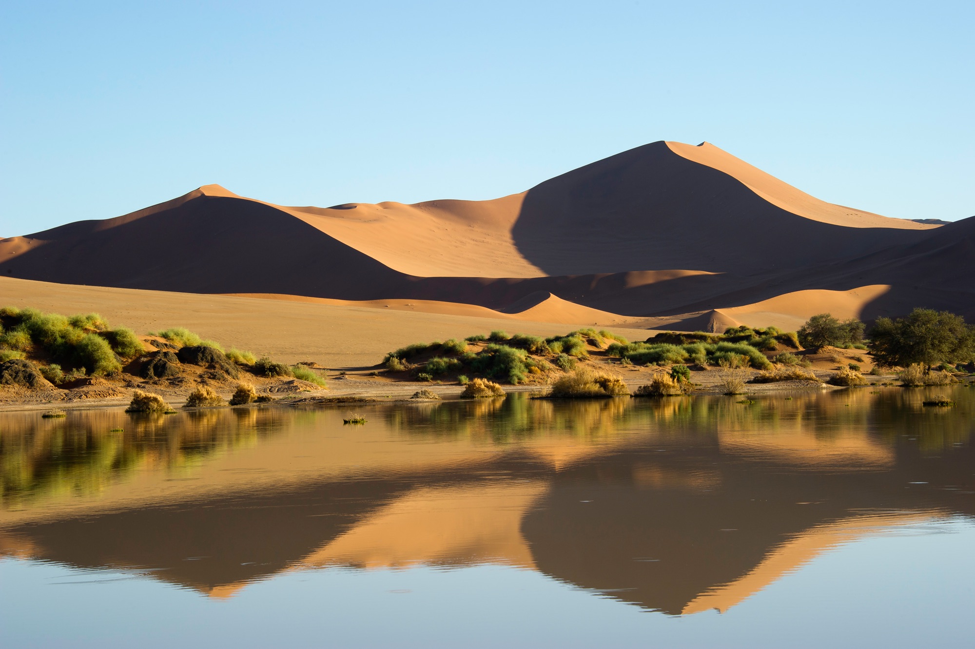 Namib Desert