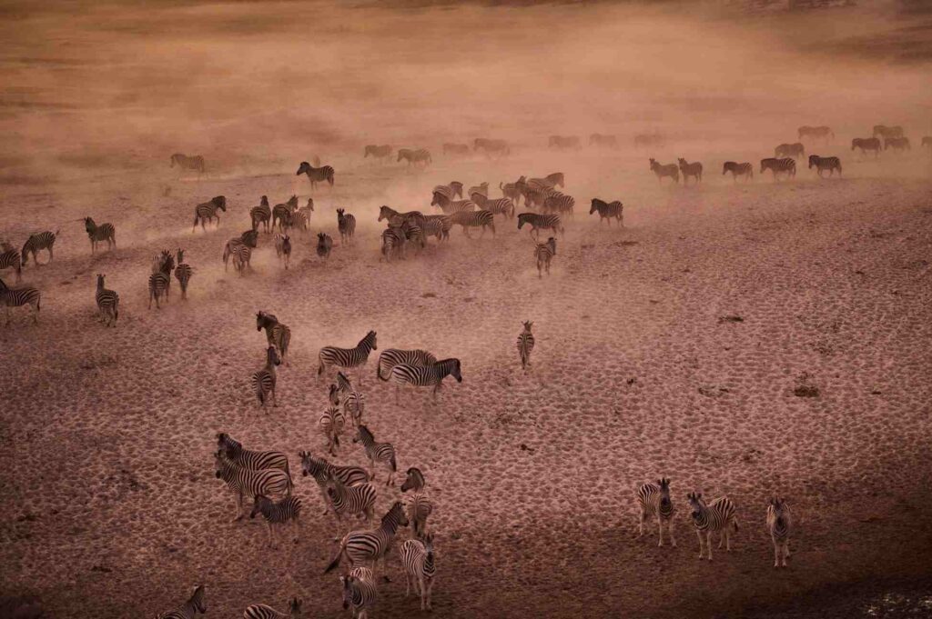 Botswana Adventure Superior
