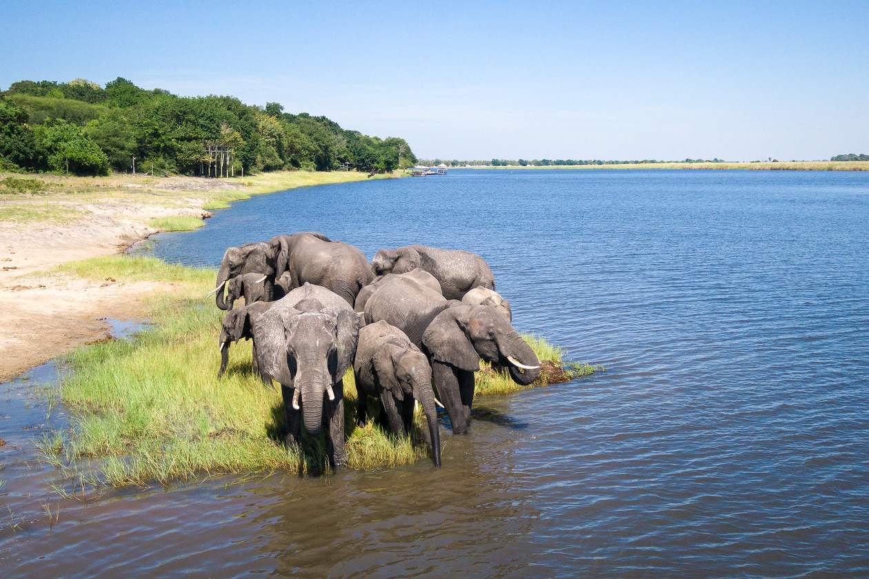 Discover Botswana Exclusive