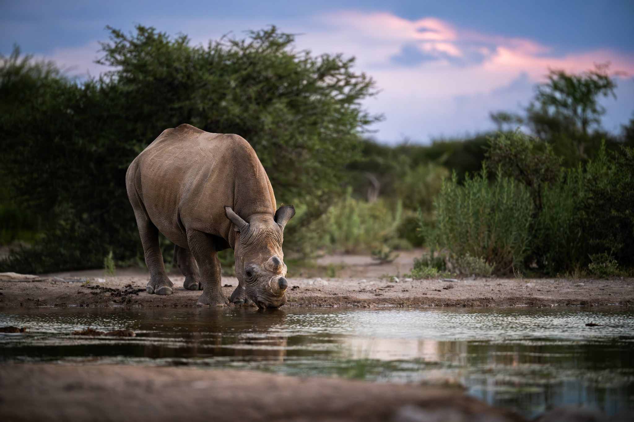 Family Namibia Easy