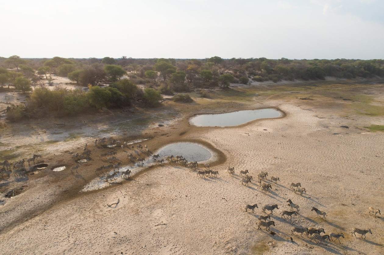 Moremi Game Reserve / Makgadikgadi