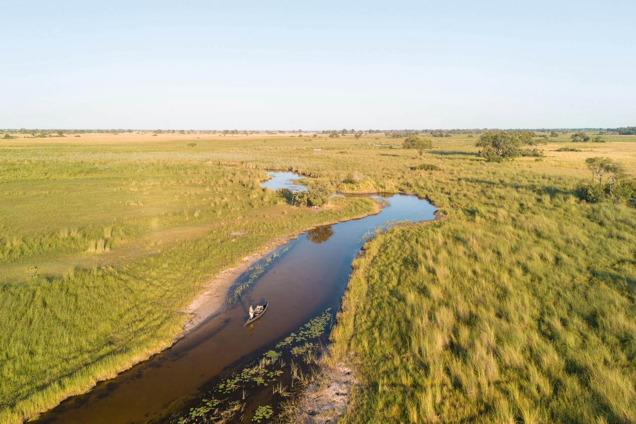 Okavango Delta: Moremi Game Reserve