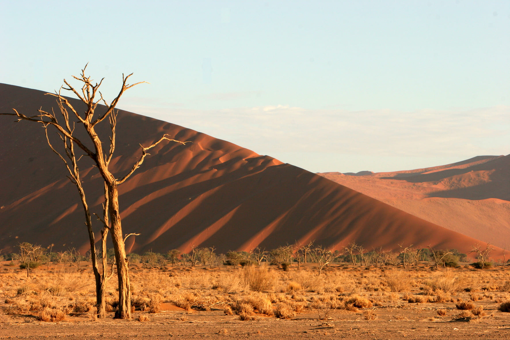Tiras Mountains / Namib Desert