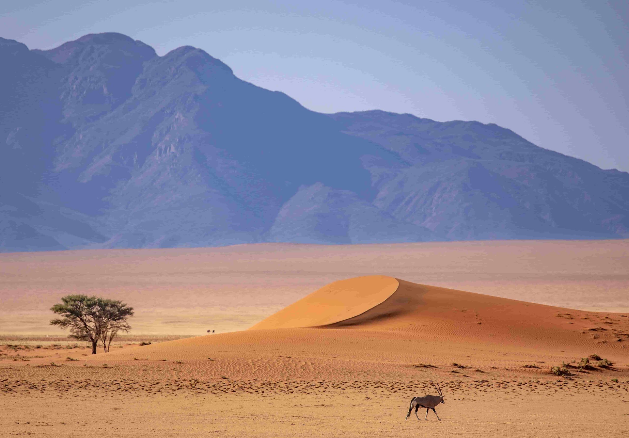 Tiras Mountains / Namib Desert