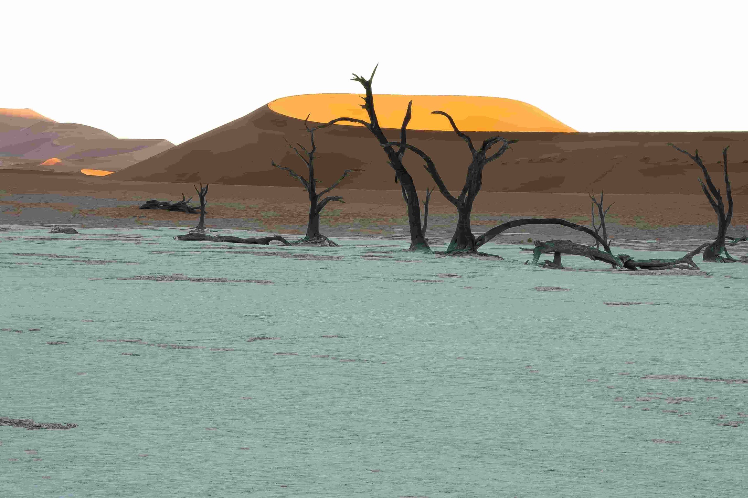 Namib Desert / Walvis Bay 