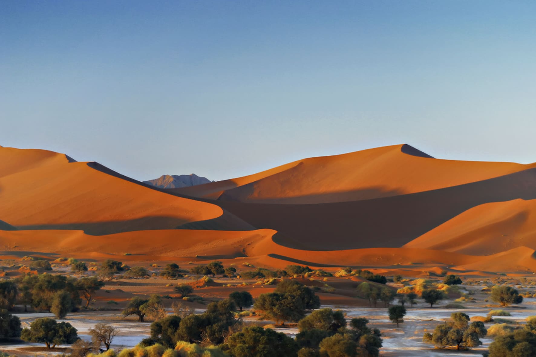 Enjoy Namibia Superior