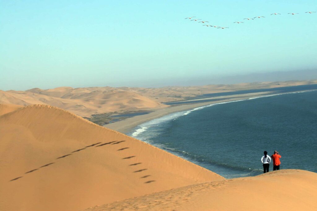 Paesaggio deserto active namibia