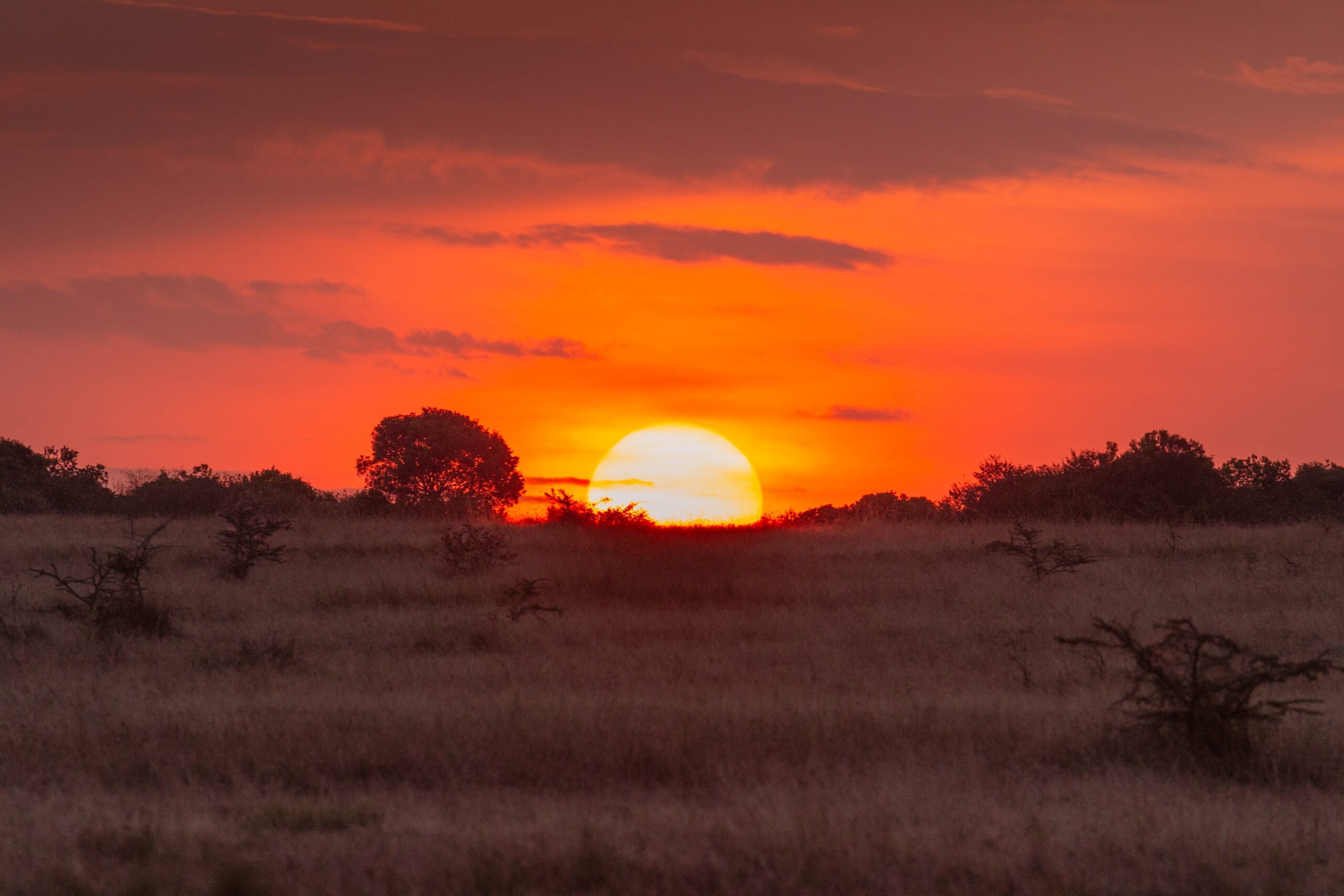 Tramonto nella savana africana