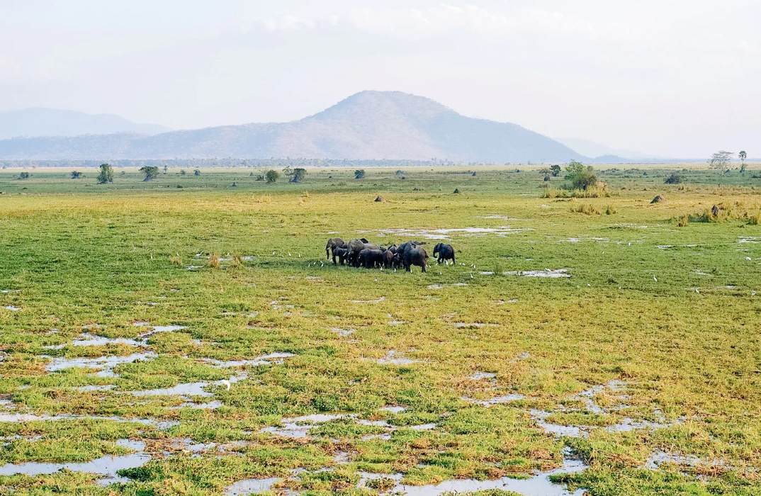 Makgadikgadi e Nxai Pan National Park