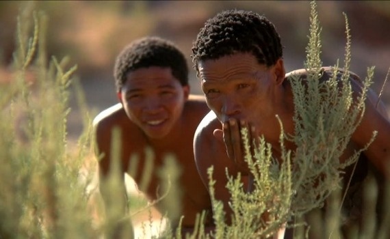 Deserto del Kalahari