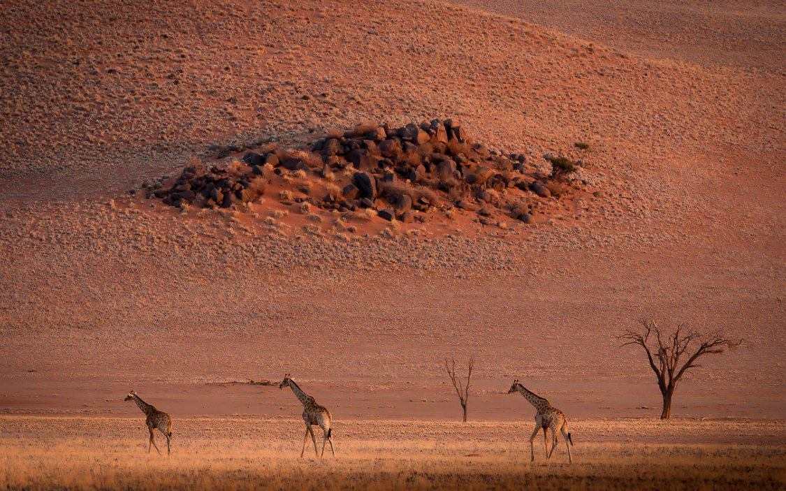 Damaraland in Namibia