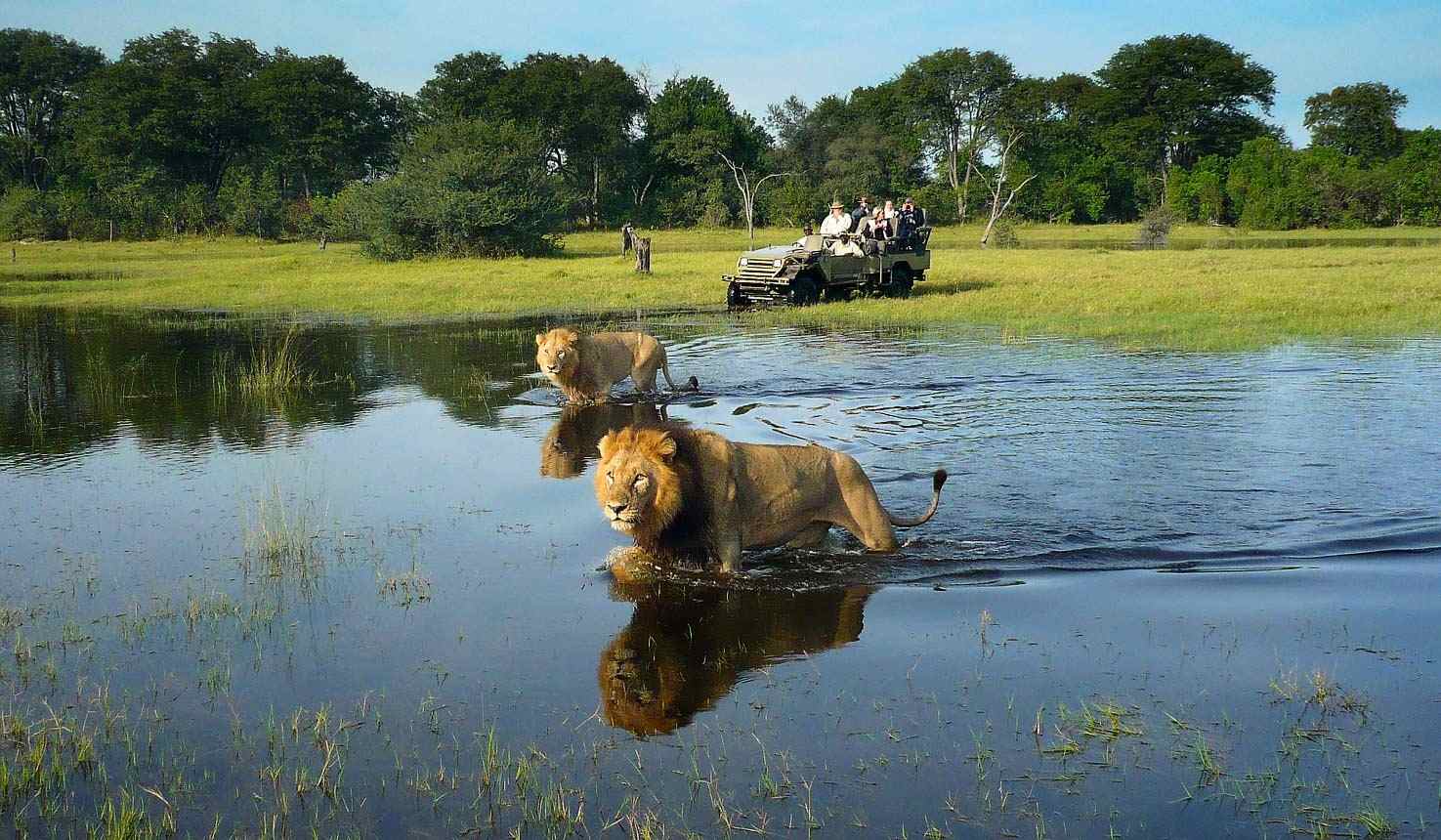 Game Drive nel Delta dell'Okavango