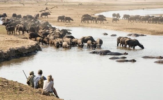 Mana Pools