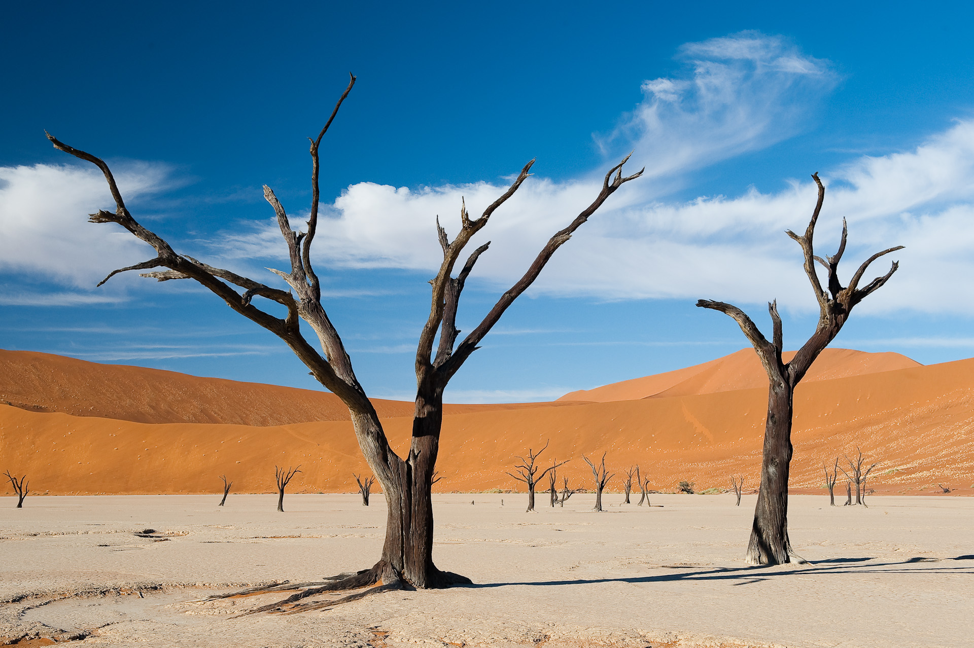 Namibia Budget